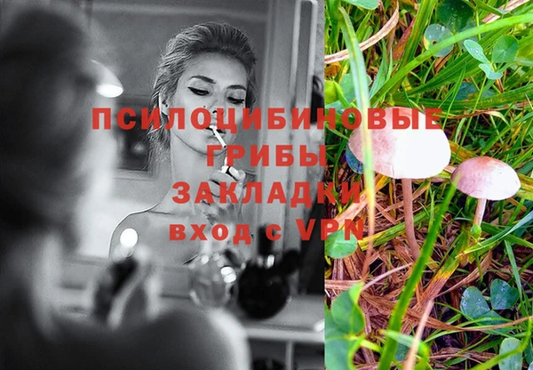 ГАЛЛЮЦИНОГЕННЫЕ ГРИБЫ Алзамай