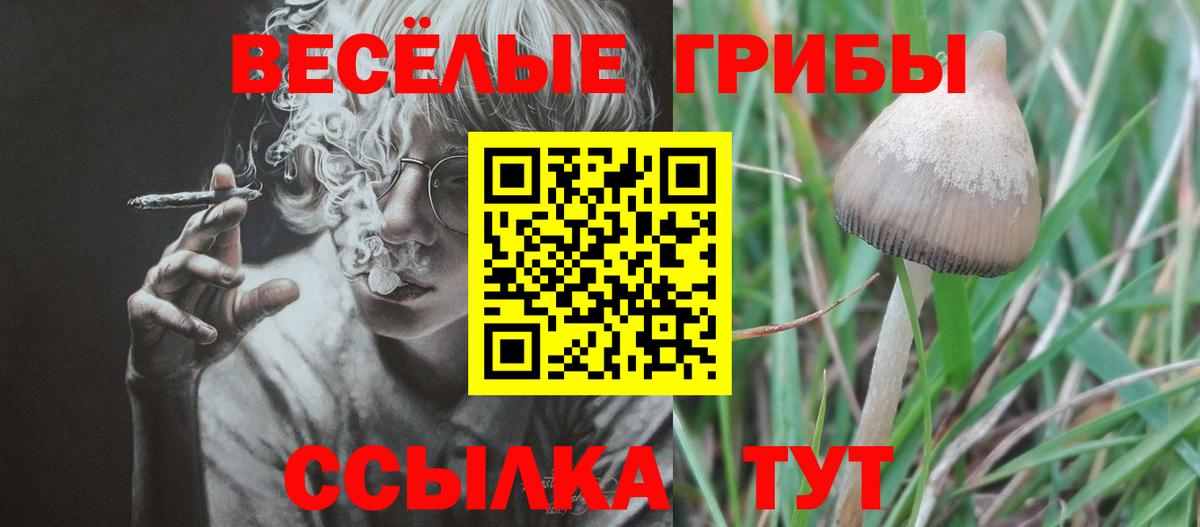 Галлюциногенные грибы Magic Shrooms  купить наркоту  Нижнекамск  Вход с VPN 